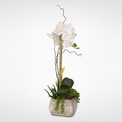 Silk Orchids Arrangement in Pot