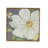 Botanical Wall Art Prints Set Of 4