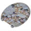 Charing Round Standard Toilet Seat