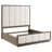 Kassius Upholstered Standard Bed-338806798-390167856