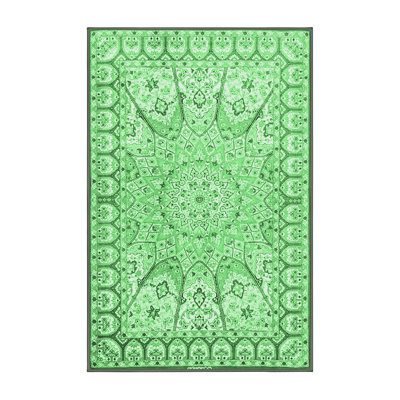 Washable Oriental Indoor Rug