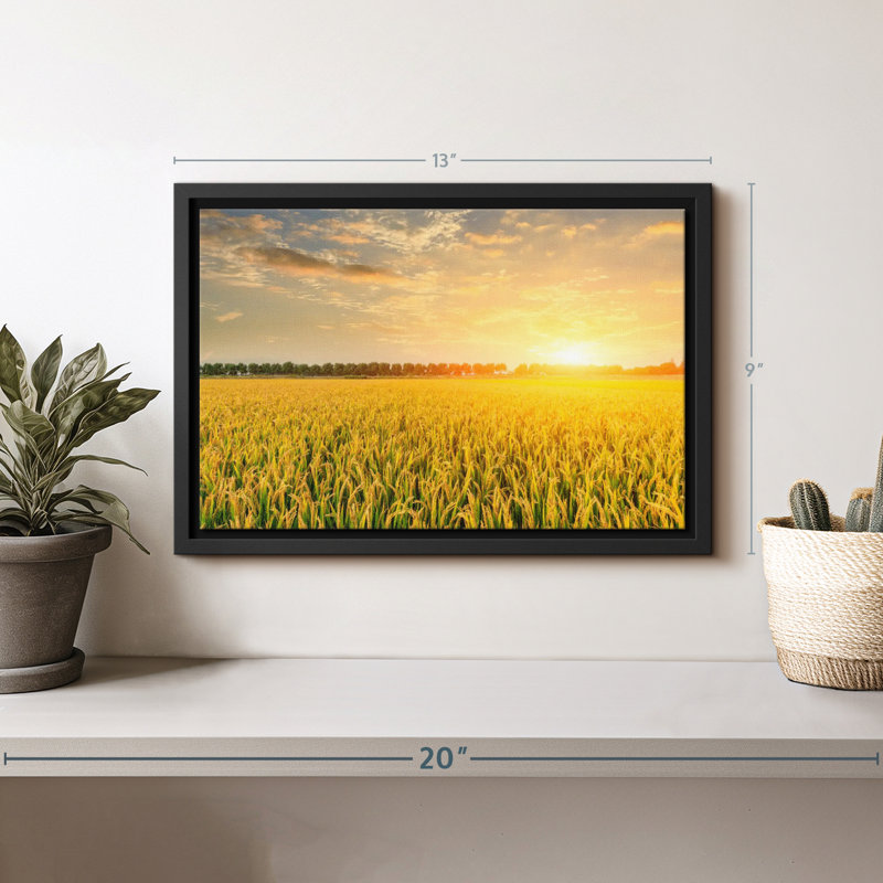 «Sunset Field», reproduction sur toile, H 9 po x l 13 po