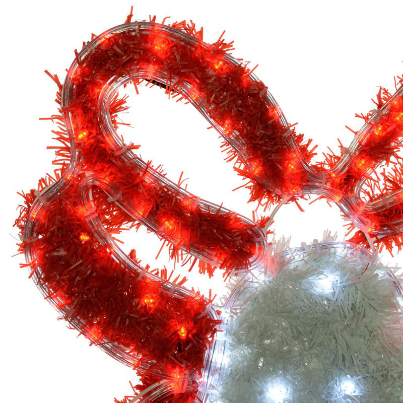 Weather Resistant Christmas Decoration