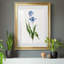 Peinture botanique bleue vive II-789340626-789340629