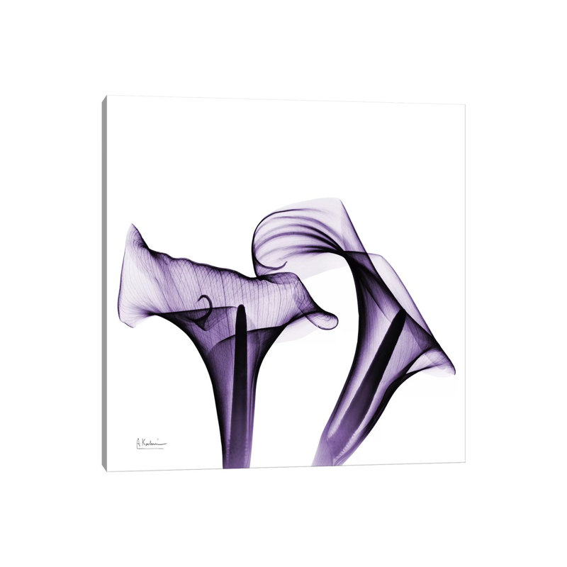 Calla Lilies I by Albert Koetsier - Wrapped Canvas Print, 45.72 cm H x 45.72 cm W