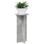 Plant Stand - Set of 2-1351275714