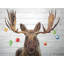«Moose has - Rustic Animals», reproduction sur toile encadrée
