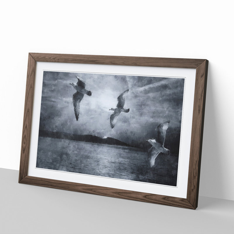 Three Seagulls - Picture Frame Graphic Art, Walnut, 48cm H x 65cm W x 2cm D