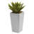 Mini Agave Plant with Planter