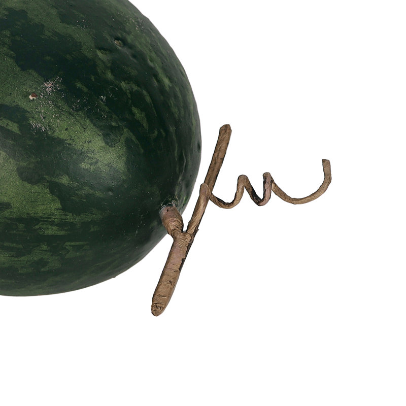 Melon d'eau artificiel avec vigne