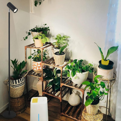 Grow Lights Support pour plantes d'intérieur Grand spectre de plantes pour la culture en intérieur avec ampoule COB 20W, minuterie 4/8 / 12H, lampe de croissance à DEL pour les grands semis de plantes (hauteur de 6 niveaux)