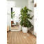 Pot Planter-69444306-69444311
