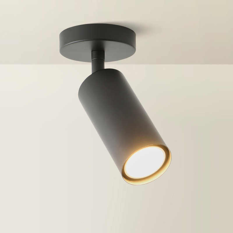 Taylor  Tube Single Adjustable Ceiling Spotlight, 1, Black