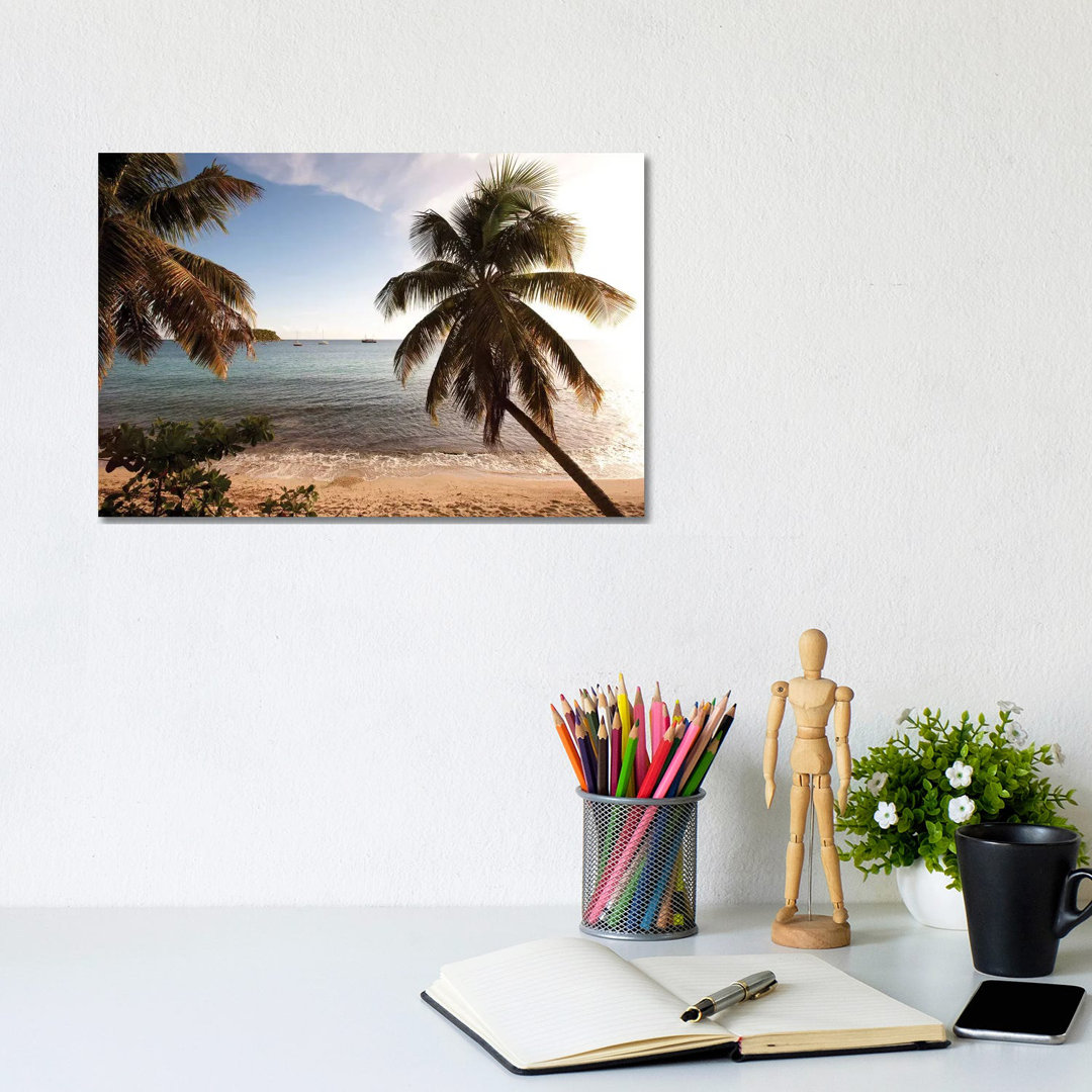 Palm Trees On Beach At Sunset, Culebra Island, Puerto Rico by Panoramic Images - Wrapped Canvas Print