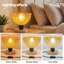 Wood Desk Lamp