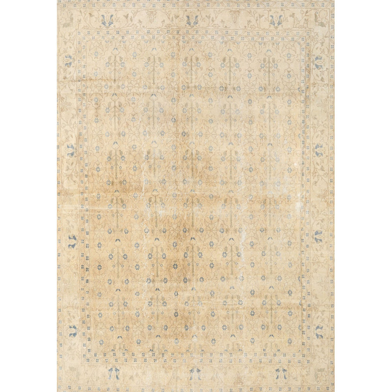 Aramis Oriental Indoor Rug, Rectangle 8' x 10'