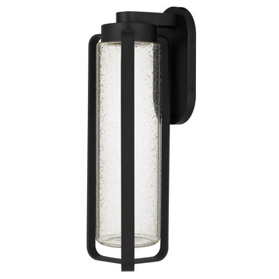 LED Wall Sconce Light Fixture