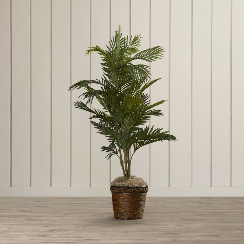 56 " H Faux Palm Tree in Wicker Basket