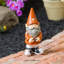Statue gnome de jardin NCAA-12433859