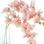 Orchidées Tania disposées dans un vase en verre-1258758621-1258758442