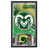 Colorado State