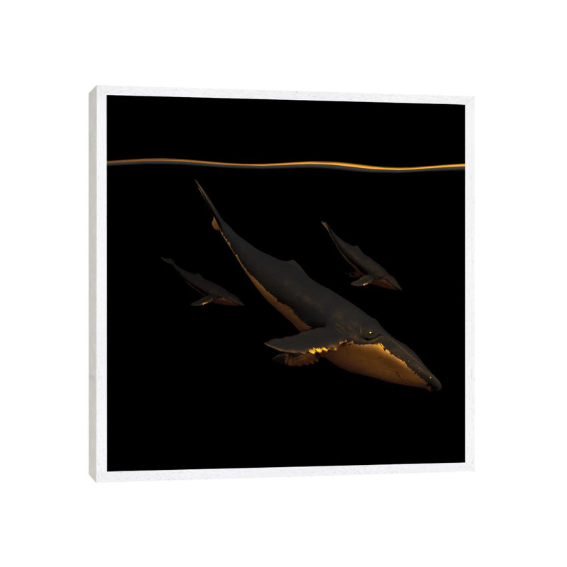Bond III - Print on Canvas, White Framed, 45.72 cm H x 45.72 cm W