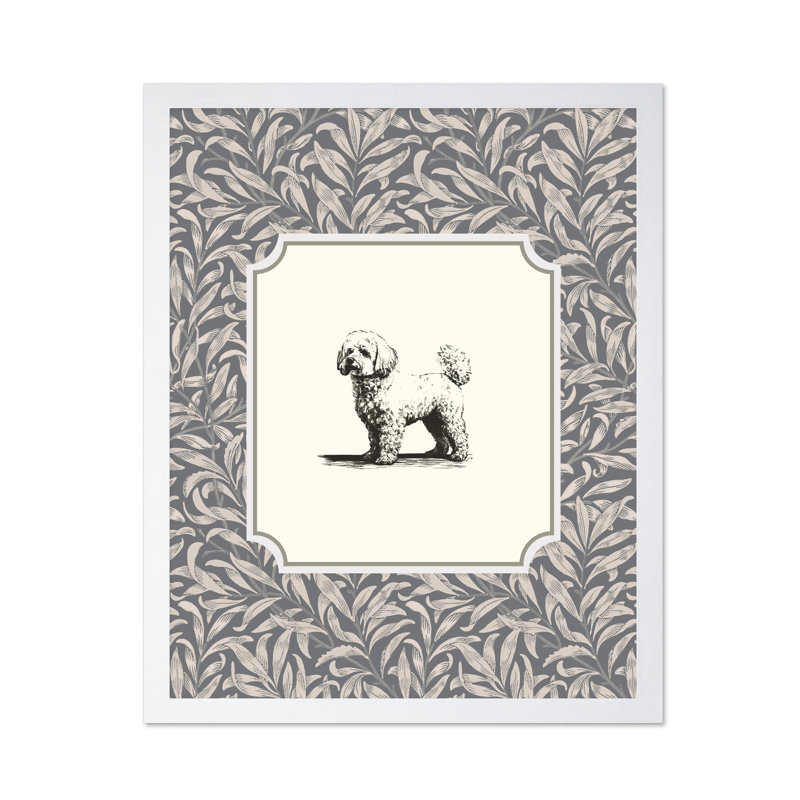 Bichon frisé, Poster, 24"H x 32"W, White Framed