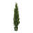 Faux Cedar Tree in Pot-23397531