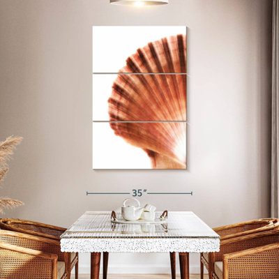 Aletra Scallop Seashell II