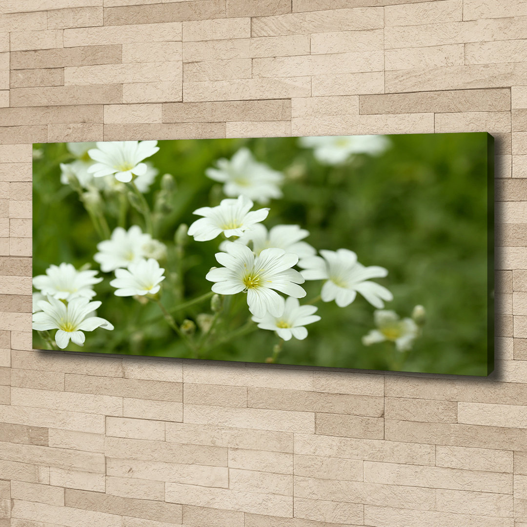 Spring Flowers - Wrapped Canvas Print
