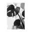 Art sur toile Picstup Studio III Monstera-103094673