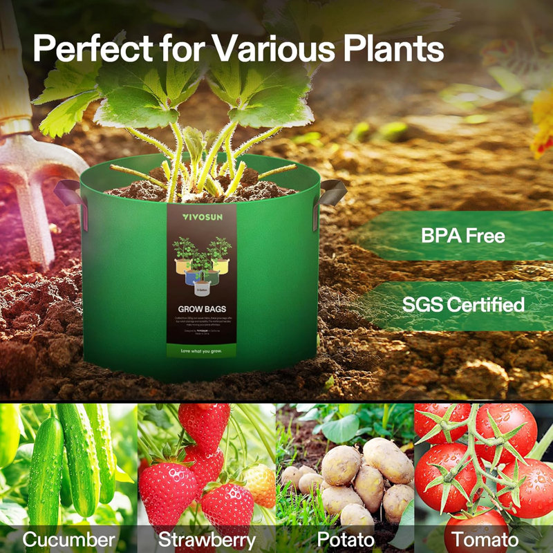Colorful Nonwoven Fabric Indoor Grow Bags with Handles (5-Pack)
