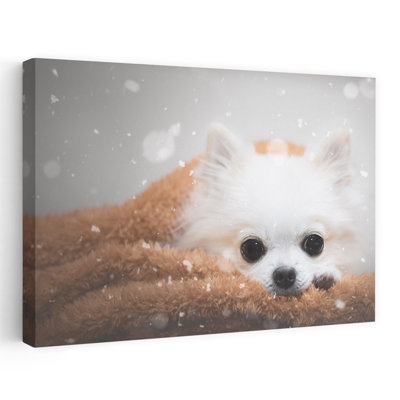 Doux chihuahua d'hiver abstrait contemporain paysage de chien nature Impression d'art mural
