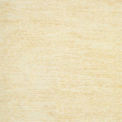 Indoor Rug