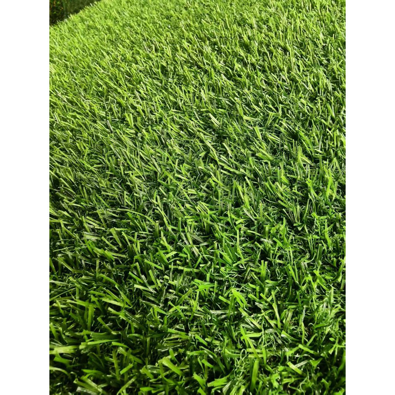 Extra-Large Outdoor Dog Turf
