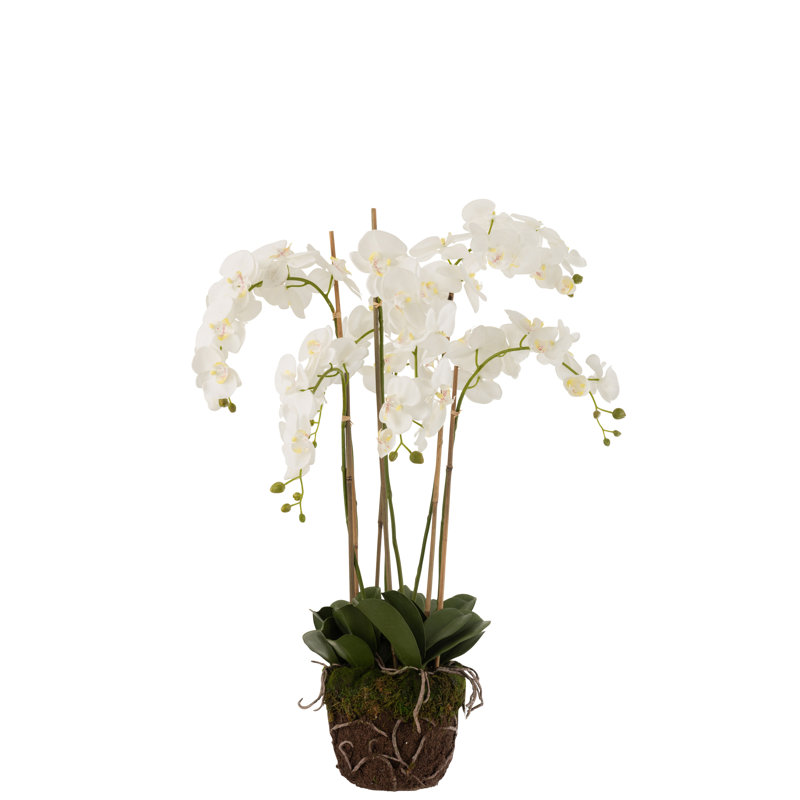 Faux Plant, 98cm H x 70cm W x 60cm D