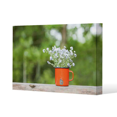 Forget Me Not Flowers by Andrew Lee - Wrapped Canvas Print