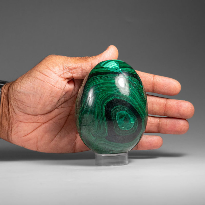 Genuine Polished Malachite Egg (1.9 Lbs)