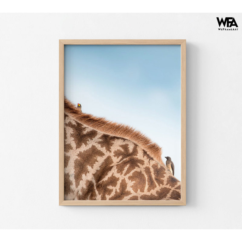 Cool, impression de girafe, affiche de photographie, inspiration de chambre d'enfant, idée de décor de bureau de zoo, Blanc