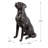 Bronze Sitting Labrador Life Size Resin Home Decor Living Room Display
