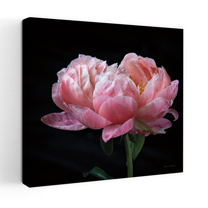 Art contemporain de pivoines corail IV, H 18 po x l 18 po