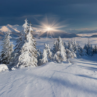 Beautiful Morning Landscape - Photographie sur toile tendue