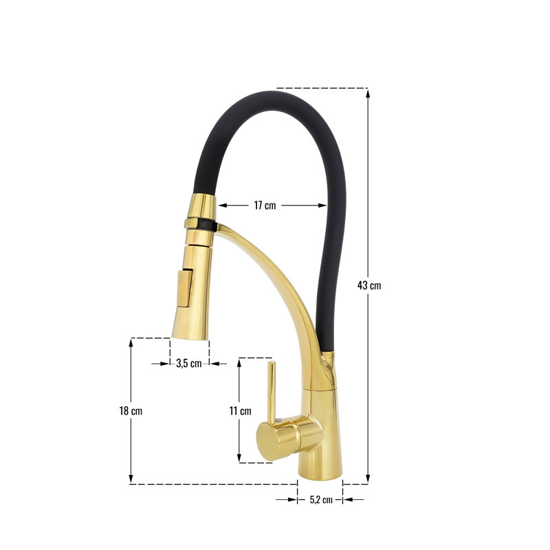 Belfry Kitchen Kitchen Faucet, Gold/Black