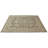 Oriental Indoor Rug