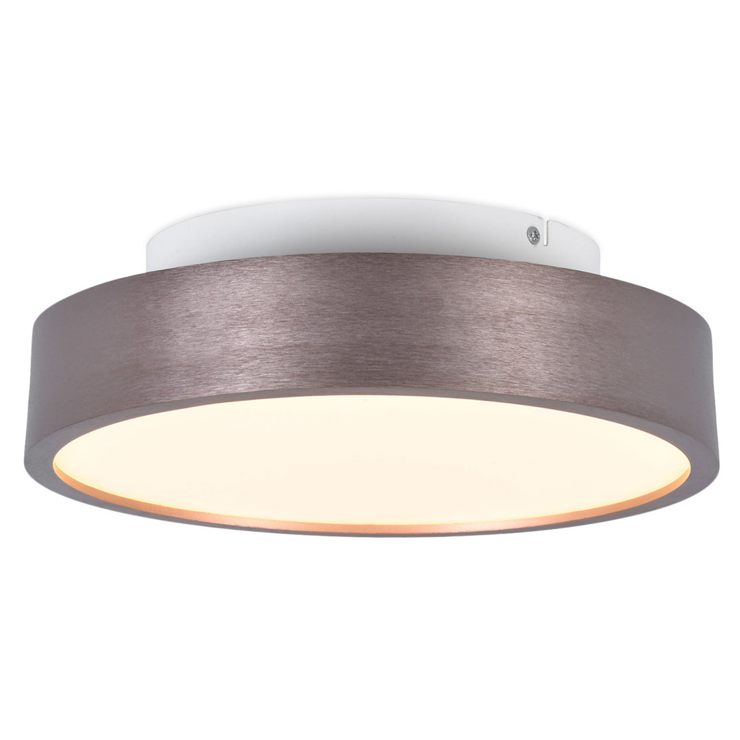 Alejandrina 1-Light LED Integrated Flush Mount