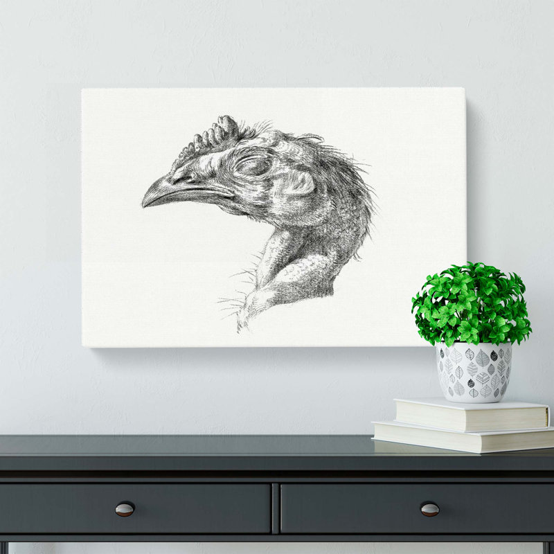 Sketch of a Chickens Head by Jean Bernard - Wrapped Canvas Drawing Print, 40cm H x 60cm W x 3cm D