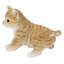 Chatons assis ensemble