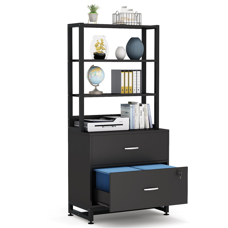 Black Vertical 2-Drawer Lockable File Cabinet with Shelves