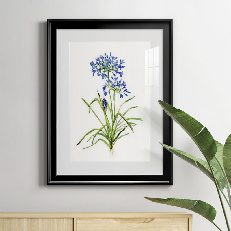 Blue Lived Botanical I - Cadre photo, reproduction d'art sur papier, Noir, H 22,5 po x l 30,5 po x P 1,5 po