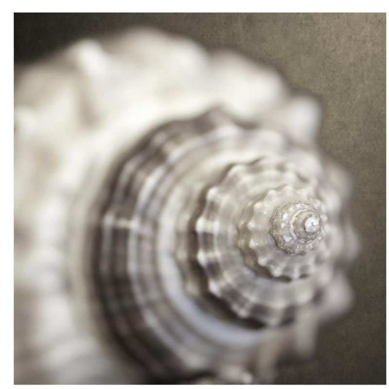 Ocean Charms I Print by Mari Urasawa, 30" H x 30" W, Outdoor